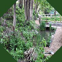 Dipping Pond