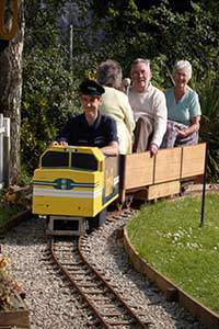 Train at Crossing